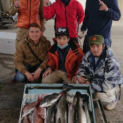 明神釣船 釣果