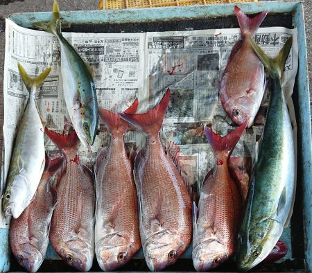 明神釣船 釣果