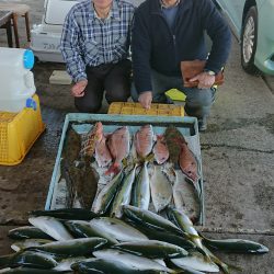 明神釣船 釣果