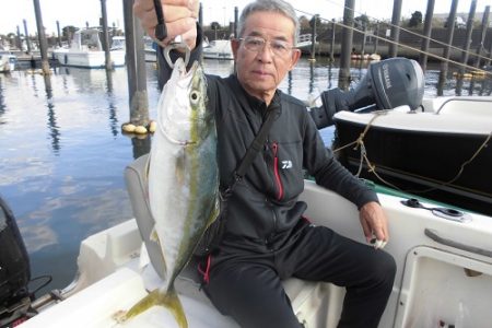 ルアー船マヒマヒ 釣果