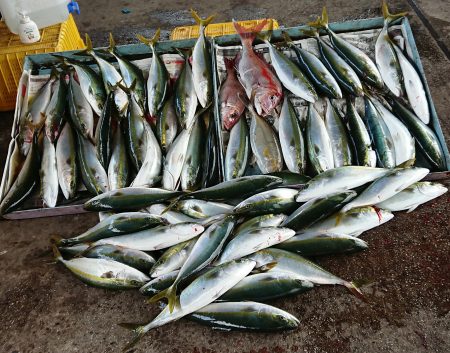 明神釣船 釣果