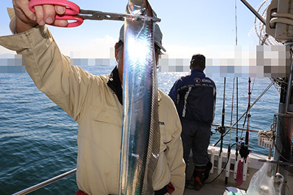 松本釣船２ 釣果