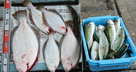 明神釣船 釣果