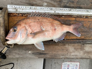 幸吉丸 釣果