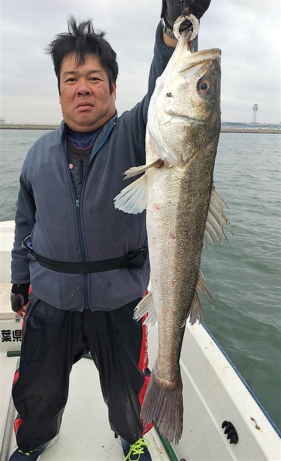 めだか屋 釣果