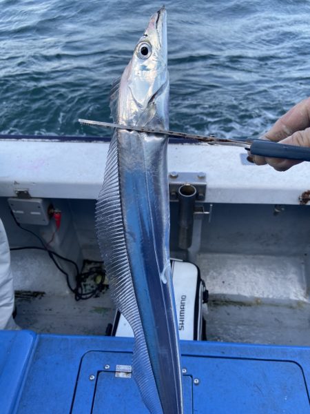 夢丸 釣果