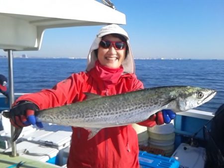 さわ浦丸 釣果