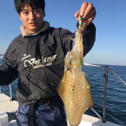 ブルーピア 釣果