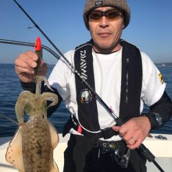 ブルーピア 釣果