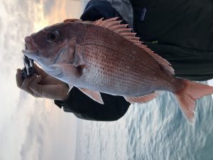 白墨丸 釣果