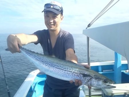 さわ浦丸 釣果