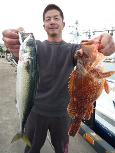 浅間丸 釣果