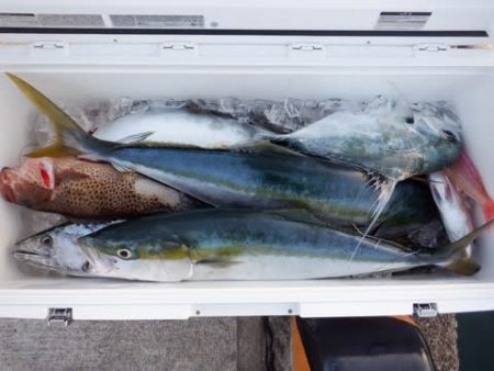 開進丸 釣果