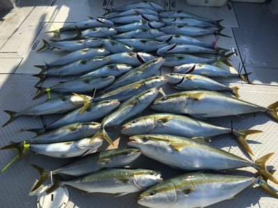 ミタチ丸 釣果