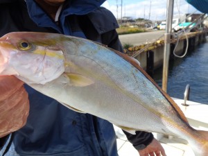 兼六丸 釣果