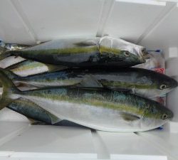 兼六丸 釣果