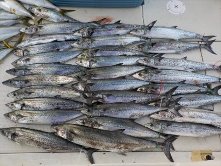 ＨＡＲＵＫＡ丸　はるかまる 釣果