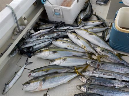 ＨＡＲＵＫＡ丸　はるかまる 釣果