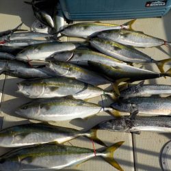 ＨＡＲＵＫＡ丸　はるかまる 釣果