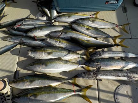 ＨＡＲＵＫＡ丸　はるかまる 釣果