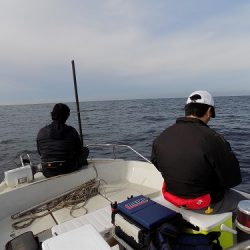 フィッシングボート空風（そらかぜ） 釣果