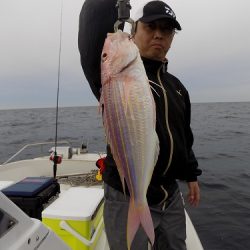 フィッシングボート空風（そらかぜ） 釣果