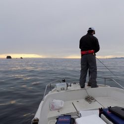 フィッシングボート空風（そらかぜ） 釣果