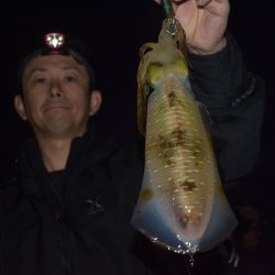 Fisherman Dreams DI 釣果