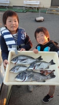 和歌山マリーナシティ釣り公園 釣果