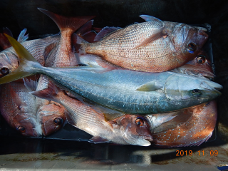 作十丸 釣果