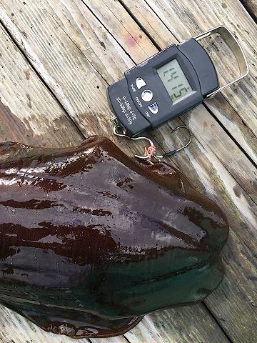 三吉丸 釣果