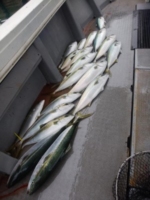 関勝丸 釣果