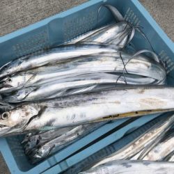 釣り船角田 釣果