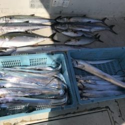 釣り船角田 釣果