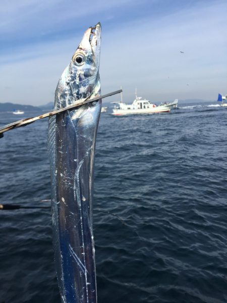 夢丸 釣果