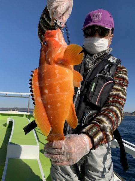 松栄丸 釣果