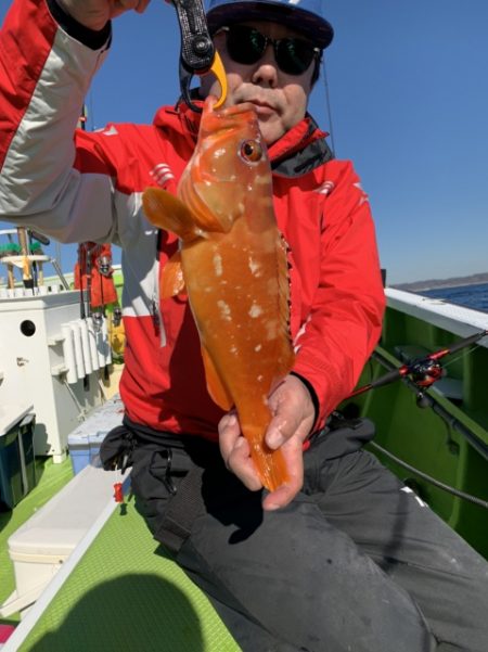 松栄丸 釣果