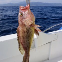 開進丸 釣果