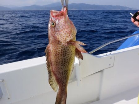 開進丸 釣果