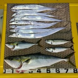 火遠理丸（ほおりまる） 釣果