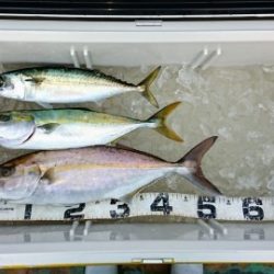 火遠理丸（ほおりまる） 釣果