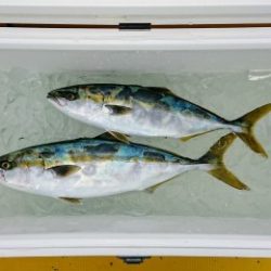 火遠理丸（ほおりまる） 釣果