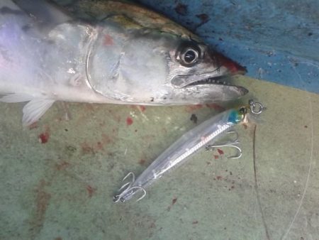 さわ浦丸 釣果