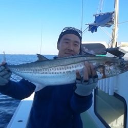 さわ浦丸 釣果