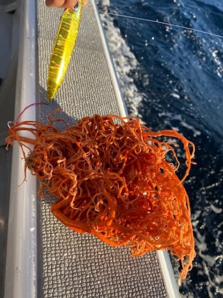 へいみつ丸 釣果