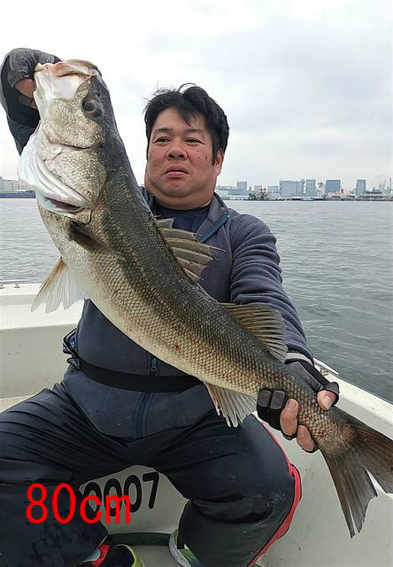 めだか屋 釣果