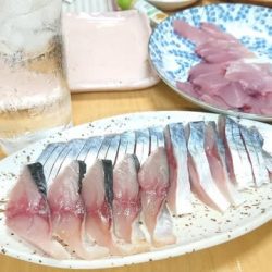 浅間丸 釣果