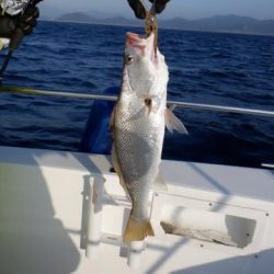 開進丸 釣果