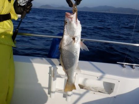 開進丸 釣果