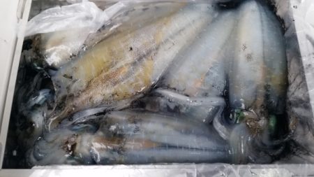 小海途 釣果